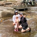 산내약국 | 경주 아기랑 계곡 포항에서 한시간, 산내평상대여 후기