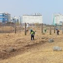 부들공원 이미지