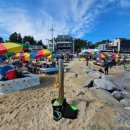 세븐일레븐 강릉사천진리점 이미지