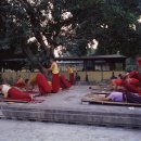보드가야(BODHGAYA) 이미지