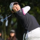 오이모네 이미지