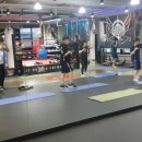 레드윙 복싱 이미지