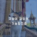 아이사랑동물병원 건강검진센터 이미지