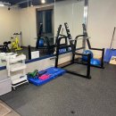 다비드 짐 이미지