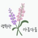 제니텔 이미지