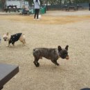 낙민체육관 이미지