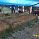 종삼농장 이미지