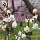 동광로5길 8 이미지