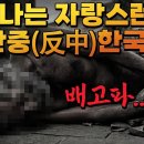 반중하고 굶어죽기 일본 퍼주기 친일 일본부활 불경기 반중반러선언 탄핵사유 대만 중국 보복 중남미 부산엑스포 개최반대 이미지