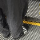 정준농장 이미지