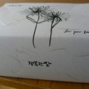수삼센터83호