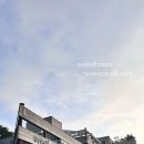 상명대학교 이미지