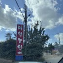 매월농장 | 광주 매월농원 하남점 솔직후기 / 오리구이 원조 맛집 인정 ! 아이들과 잔디에서 뛰어놀기 최고