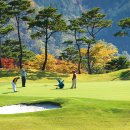 엘리시안 강촌 컨트리클럽 이미지