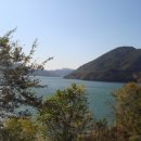 청풍호 감 이미지