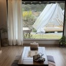 스테이노은 이미지