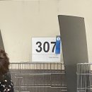 랙돌캐터리 아이돌스 전주고양이분양 이미지