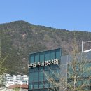 연지어린이집 | 벚꽃 명소 김해 연지 공원