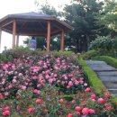 도당공원 이미지