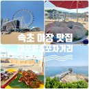 속초 가볼만한 곳|속초 아이, 영금정, 대포항 야장 및 포차거리 순희네 마차 내돈 내산 후기