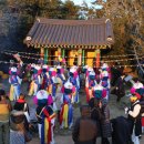 완도 장좌리 당제 및 당굿 이미지