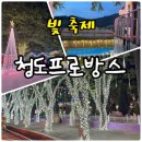 프로방스 레스토랑 | 경북 청도프로방스 대구 근교 데이트 야경 아이랑 가볼만한 곳 빛축제 물놀이장 글램핑
