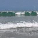 파라다이스 이미지