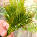 사철농장 이미지