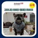 만악농장 이미지