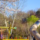 가가동물원 이미지