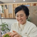 와룡태리승마장