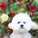 샵 세린파크 이미지