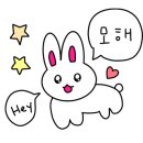 조이앤동물병원 이미지