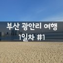 경성대학교미술관 | 부산 2박 3일 광안리 겨울 여행 1일차 #1 (서울역, 솔솥 광안리점, 컵앤컵 카페)