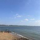 꽃지 화이트 펜션 | 태안 여행 갯벌체험 가성비 오션뷰 숙소 비비오네펜션 후기