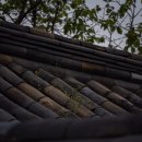 (주)드보라코리아 이미지