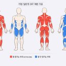Re: off project 3번째 결과 보고(학문적으론 제일 재미있는 분야) 이미지