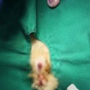 동물병원 비아츠 이미지