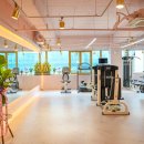 강현정피티 이미지