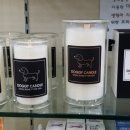 펫라운지(PET LOUNGE) 이미지