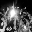 대구 펫 택시 이미지