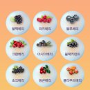 마음비타