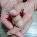 제5부. 우주 저울의 일상화: 매일 만나는 평화 이미지