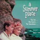 피서지에서 생긴 일 A Summer Place , 1959 제작 미국 | 드라마 | 130분 감독델머 데이브스 출연리차드 이건, 도로시 맥과이어, 콘스탄스 포드, 아더 케네디 이미지