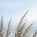 내 영혼 바람 되어 - 양준모 바리톤 (김효근 역시,작곡) /사진 오혜숙 이미지