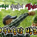 다우리농장 이미지