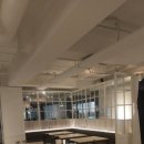 돌삼(Dolsam) 이미지