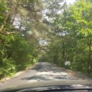 남경가든 이미지