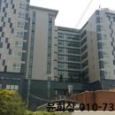 강남-219 이미지