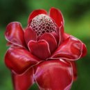 주공부동산뉴스공인중개사사무소 이미지